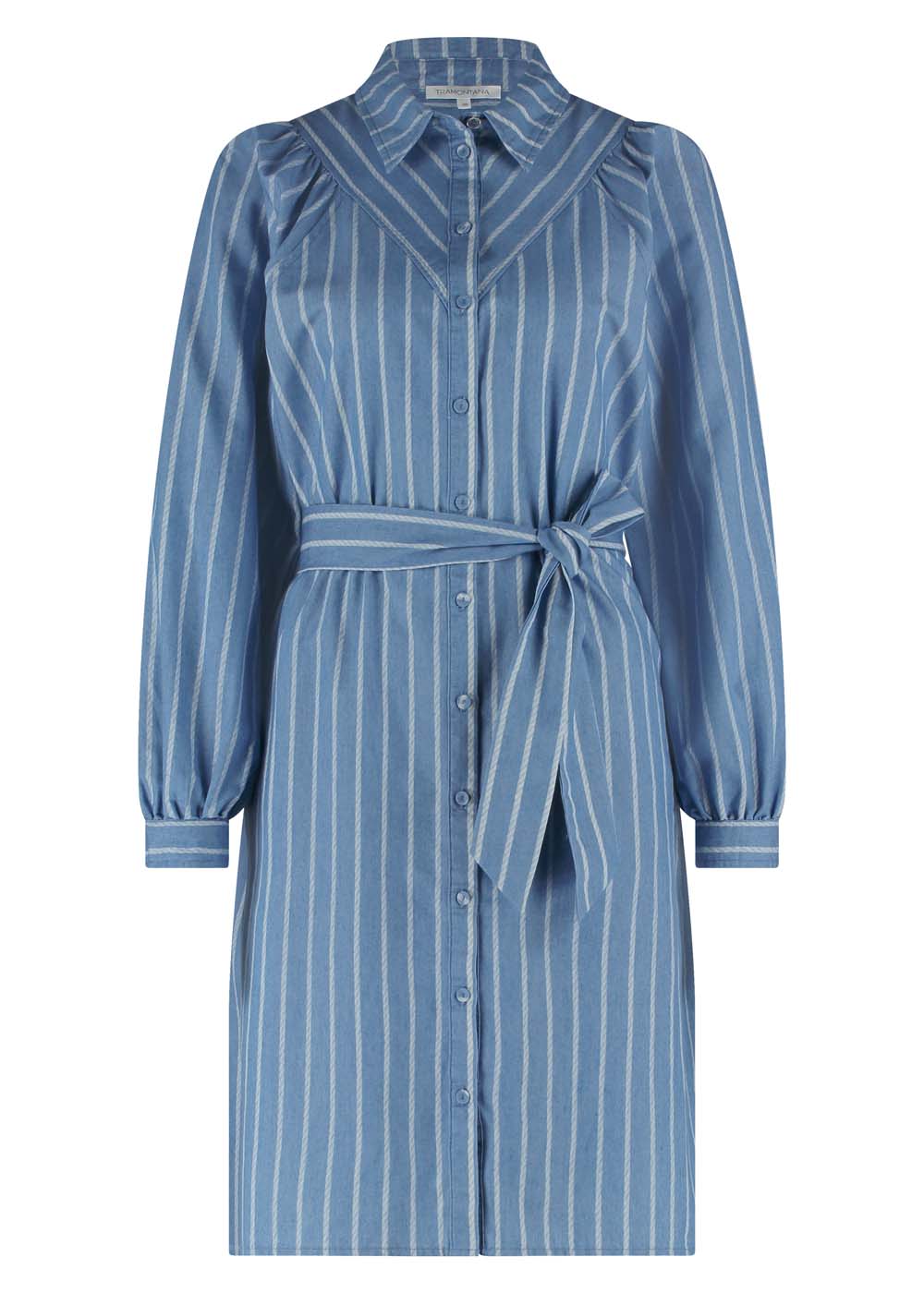 off-figure image of blue button up dress